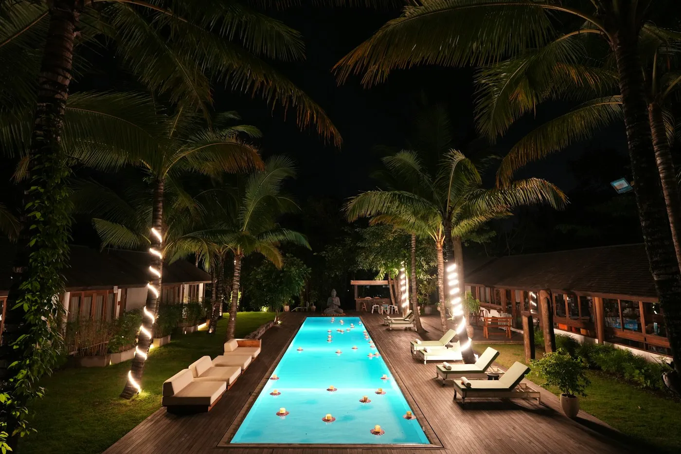 Piscina illuminata di notte tra le palme